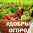 Информационное сообщение о Всероссийском социальном проекте «Добрый огород – 2023: сезон открыт» - Мэрия г. Шали
